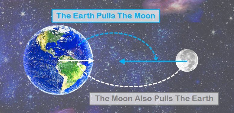 The Earth pulls the moon, the Moon also pulls the Earth